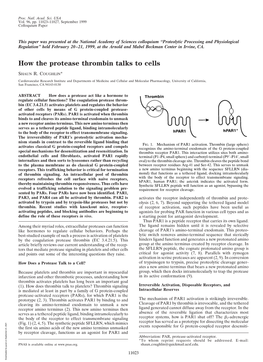 How the Protease Thrombin Talks to Cells