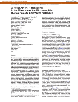 A Novel ADP/ATP Transporter in the Mitosome of the Microaerophilic Human Parasite Entamoeba Histolytica