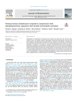 Primary Human Chondrocytes Respond to Compression with Phosphoproteomic Signatures That Include Microtubule Activation ⇑ Donald L