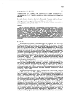 ATTRACTION of AUSTRALIAN Carpophllus SPP. (COLEOPTERA: NITIDULIDAE) to SY:"Ithetic PHEROMONES and FERMENTING BREAD DOUGH DA