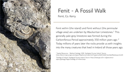 Fenit - a Fossil Walk Fenit, Co