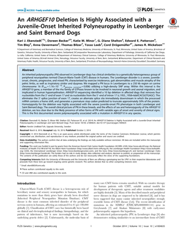 An ARHGEF10 Deletion Is Highly Associated with a Juvenile-Onset Inherited Polyneuropathy in Leonberger and Saint Bernard Dogs