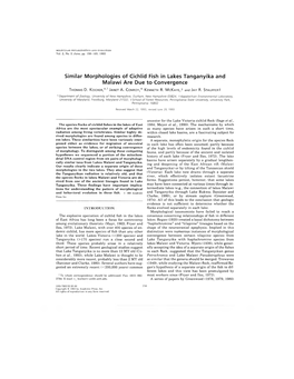 Similar Morphologies of Cichlid Fish in Lakes Tanganyika and Malawi Are Due to Convergence Thomas D