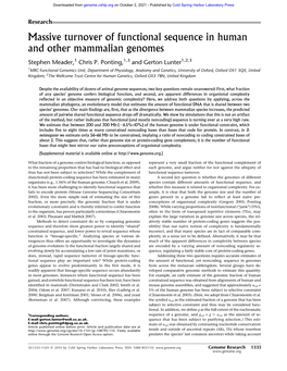 Massive Turnover of Functional Sequence in Human and Other Mammalian Genomes