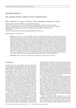 REVIEW ARTICLE Fire, Grazing and the Evolution of New Zealand Grasses