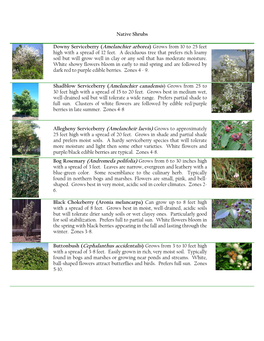 Native Shrubs