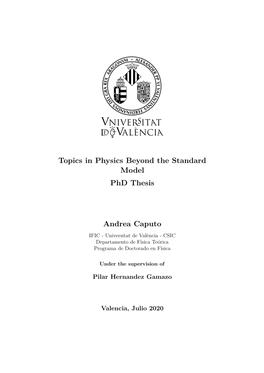 Topics in Physics Beyond the Standard Model Phd Thesis