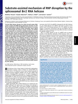 Substrate-Assisted Mechanism of RNP Disruption by the Spliceosomal Brr2 RNA Helicase