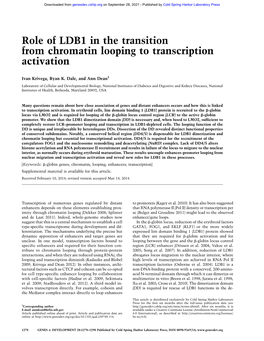 Role of LDB1 in the Transition from Chromatin Looping to Transcription Activation