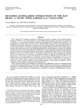 Muscimol-Scopolamine Interactions in the Rat Brain: a Study with 2-Deoxy-D-[ 1-14C]Glucose1