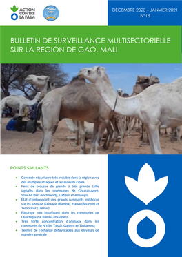 Bulletin De Surveillance Multisectorielle Sur La Region De Gao, Mali N°18 / Décembre 2020 - Janvier 2021