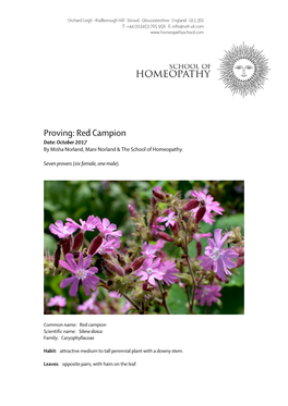 Red Campion Date: October 2017 by Misha Norland, Mani Norland & the School of Homeopathy