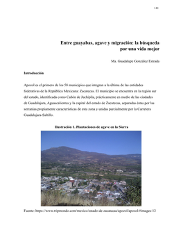 Entre Guayabas, Agave Y Migración: La Búsqueda Por Una Vida Mejor