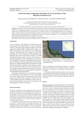 On the Karyology, Morphology and Biology of Glis Glis (Linnaeus, 1766) (Rodentia: Gliridae) in Iran