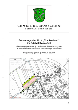 Begründung B-Plan Nr. 4 Traubenland