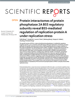 Protein Interactomes of Protein Phosphatase 2A B55 Regulatory