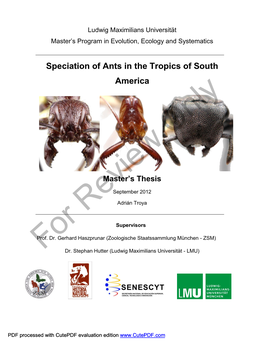 Speciation of Ants in the Tropics of South America
