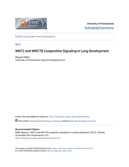 WNT2 and WNT7B Cooperative Signaling in Lung Development