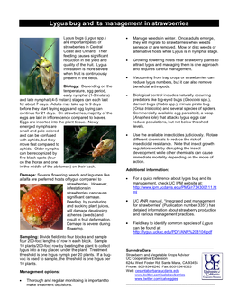 Lygus Bug and Its Management in Strawberries