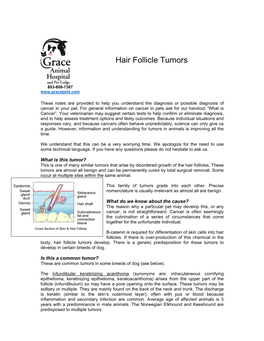 Hair Follicle Tumors