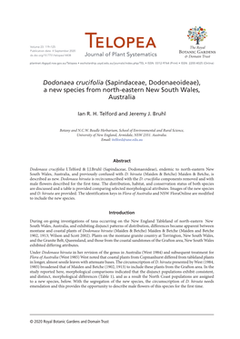 Dodonaea Crucifolia (Sapindaceae, Dodonaeoideae), a New Species from North-Eastern New South Wales, Australia