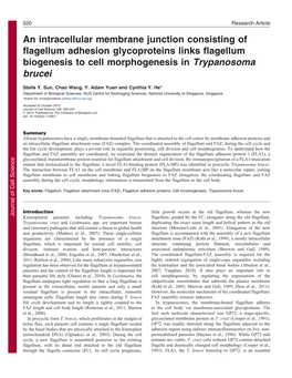 An Intracellular Membrane Junction Consisting of Flagellum Adhesion