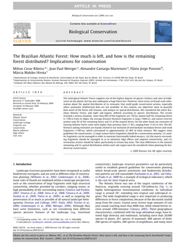 The Brazilian Atlantic Forest: How Much Is Left, and How Is the Remaining Forest Distributed? Implications for Conservation