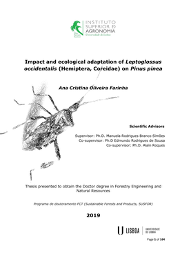 Impact and Ecological Adaptation of Leptoglossus Occidentalis (Hemiptera, Coreidae) on Pinus Pinea