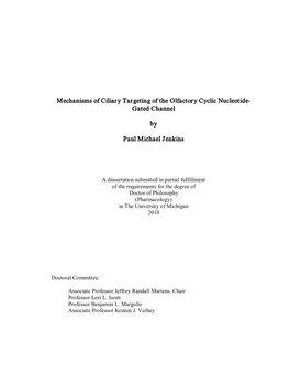 Mechanisms of Ciliary Targeting of the Olfactory Cyclic Nucleotide- Gated Channel