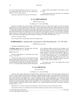 8. Tribe BRYLKINIEAE 54. BRYLKINIA F. Schmidt, Mém. Acad. Imp