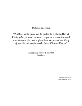 Análisis De La Posición De Poder De Roberto David