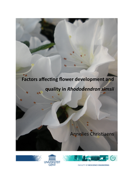 Factors Affecting Flower Development and Quality in Rhododendron Simsii