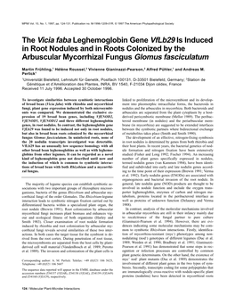 The Vicia Faba Leghemoglobin Gene Vflb29 Is Induced in Root Nodules and in Roots Colonized by the Arbuscular Mycorrhizal Fungus Glomus Fasciculatum