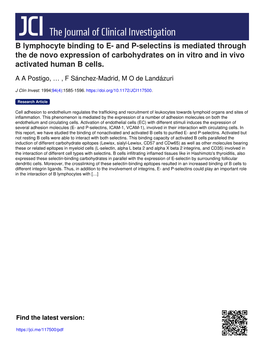 B Lymphocyte Binding to E- and P-Selectins Is Mediated Through the De Novo Expression of Carbohydrates on in Vitro and in Vivo Activated Human B Cells