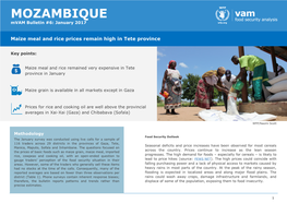 MOZAMBIQUE Mvam Bulletin #6: January 2017