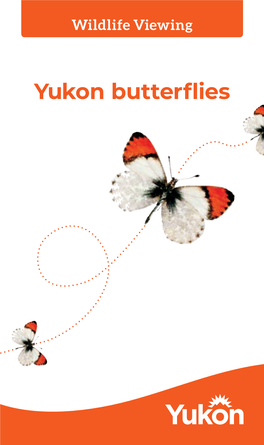 Yukon Butterflies a Guide to Yukon Butterflies
