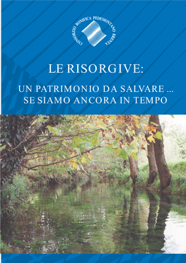 Le Risorgive: Un Patrimonio Da Salvare