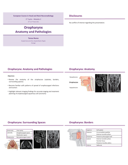 18612-Oropharynx Dr. Teresa Nunes.Pdf