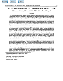 The Geomorphology of the Chandeleur Island Wetlands