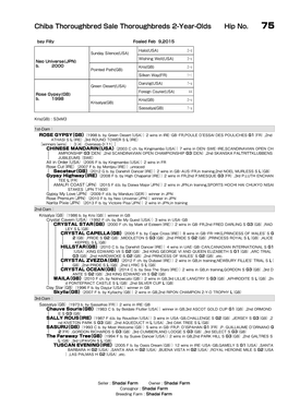 Chiba Thoroughbred Sale Thoroughbreds 2-Year-Olds Hip No