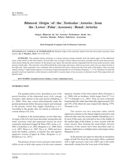 Bilateral Origin of the Testicular Arteries from the Lower Polar Accessory Renal Arteries