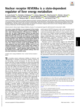 Nuclear Receptor Reverbα Is a State-Dependent Regulator of Liver Energy Metabolism