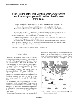 Psenes Maculatus, and Psenes Cyanophrys (Nomeidae: Perciformes), from Korea