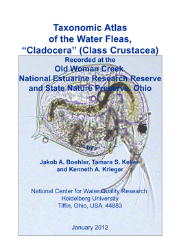 Taxonomic Atlas of the Water Fleas, “Cladocera” (Class Crustacea) Recorded at the Old Woman Creek National Estuarine Research Reserve and State Nature Preserve, Ohio