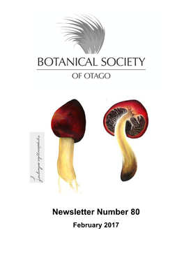 BSO Feb 2017 Newsletter Final