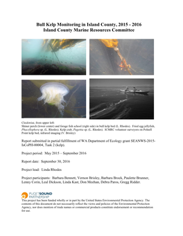 Bull Kelp Monitoring in Island County, 2015 - 2016 Island County Marine Resources Committee