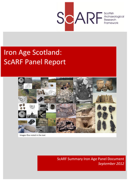 Iron Age Scotland: Scarf Panel Report
