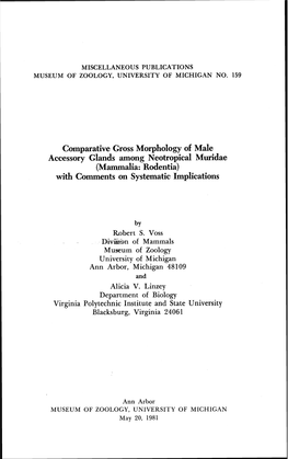 Comparative Gross Morphology of Male Accessory Glands Among Neotropical Muridae (Mammalia: Rodentia) with Comments on Systematic Implications