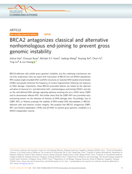 BRCA2 Antagonizes Classical and Alternative Nonhomologous End-Joining to Prevent Gross Genomic Instability