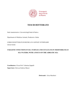 Tesi Di Dottorato